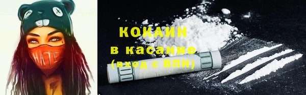 гидра Корсаков