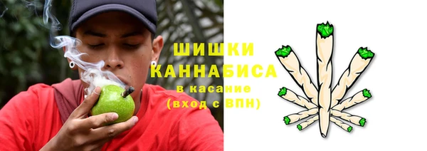 гидра Корсаков