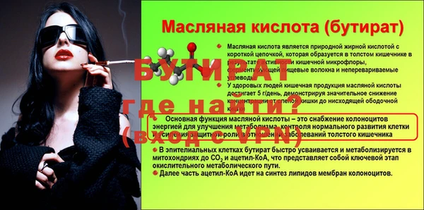 гидра Корсаков
