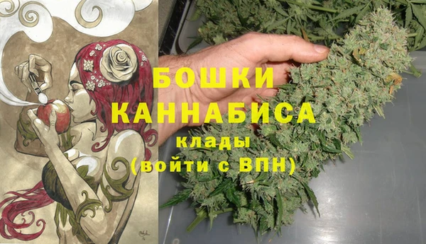 ПСИЛОЦИБИНОВЫЕ ГРИБЫ Костерёво