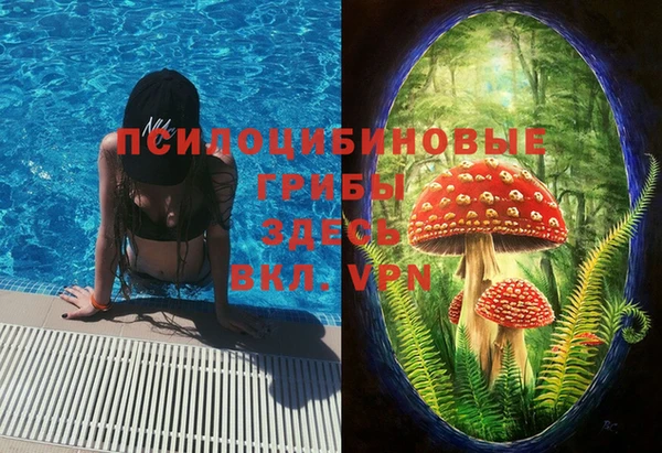 ПСИЛОЦИБИНОВЫЕ ГРИБЫ Костерёво