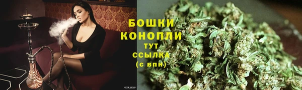 гидра Корсаков